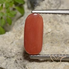 Coral Laranja Vermelho Natural 2.14ct, oval, Opaco