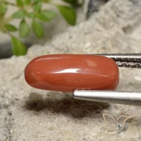 Coral Laranja Vermelho Natural 2.39ct, oval, Opaco