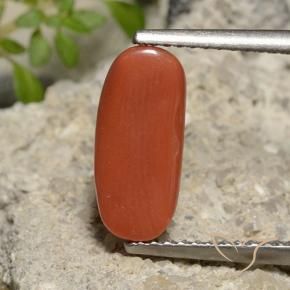 Coral Laranja Vermelho Natural 2.39ct, oval, Opaco
