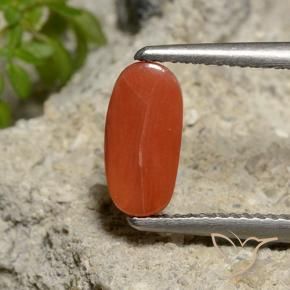 Coral Laranja Médio Natural 1.81ct, oval, Opaco