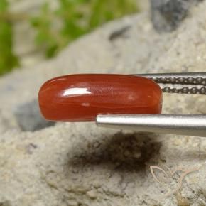 Coral Fogo vermelho Natural 1.81ct, oval, Opaco