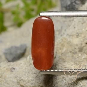 Coral Fogo vermelho Natural 1.81ct, oval, Opaco
