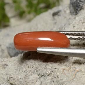 Coral vermelho médio Natural 1.91ct, oval, Opaco