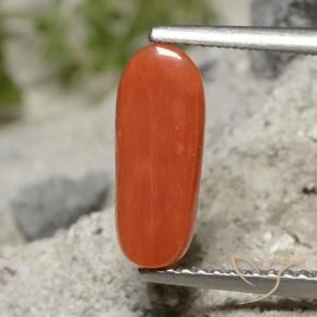 Coral vermelho médio Natural 1.91ct, oval, Opaco