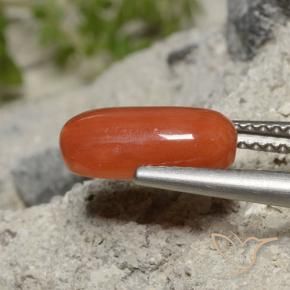 Coral Laranja Vermelho Natural 2.01ct, oval, Opaco