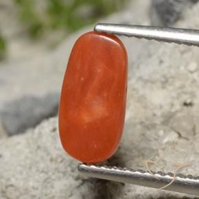Coral Laranja Vermelho Natural 2.01ct, oval, Opaco
