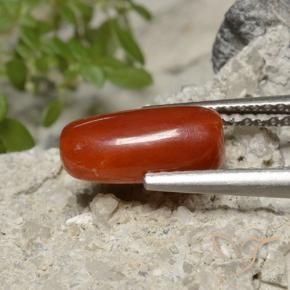 Coral Fogo vermelho Natural 1.86ct, oval, Opaco