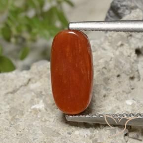 Coral Fogo vermelho Natural 1.86ct, oval, Opaco