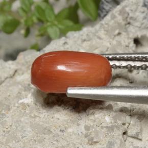 Coral Laranja Médio Natural 1.70ct, Corte Oval, Opaco