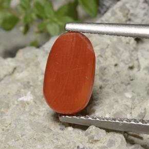 Coral Laranja Médio Natural 1.70ct, Corte Oval, Opaco