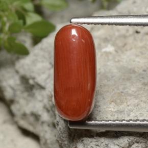 Coral vermelho natural 2,55ct, corte oval, opaco