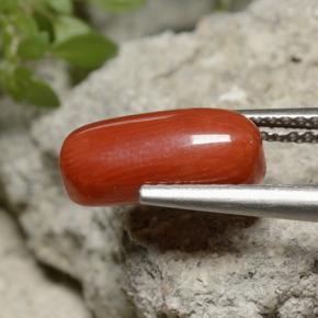 Coral vermelho natural 2,55ct, corte oval, opaco
