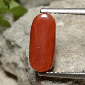 Coral vermelho natural 2,55ct, corte oval, opaco