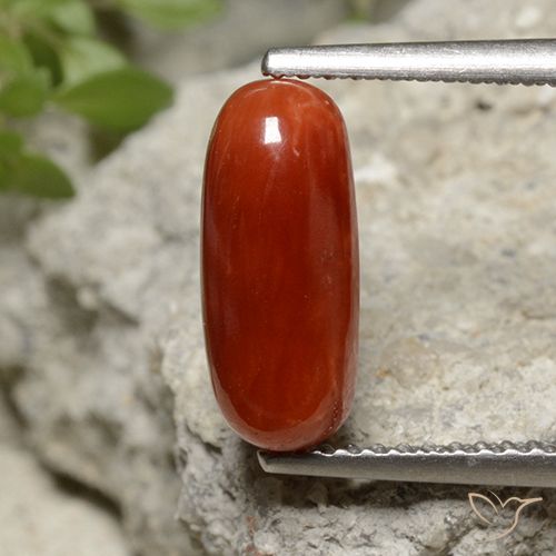 Coral Fogo vermelho Natural 2.07ct, Corte Oval, Opaco