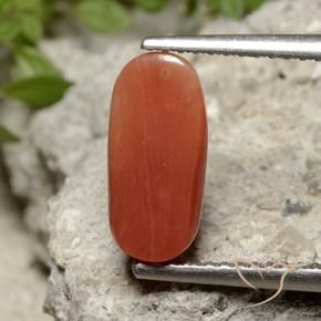 Coral fogo laranja Natural 2.26ct, oval, Opaco