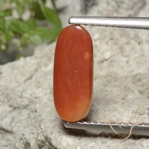 Coral Laranja Médio Natural 2.15ct, oval, Opaco
