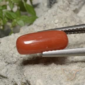 Coral fogo laranja Natural 1.90ct, oval, Opaco