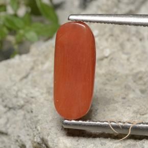 Coral fogo laranja Natural 1.90ct, oval, Opaco