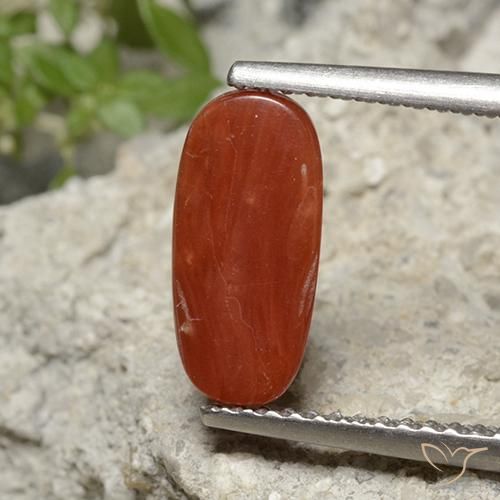 Coral Tom vermelho fogo Natural 1.95ct, oval, Opaco