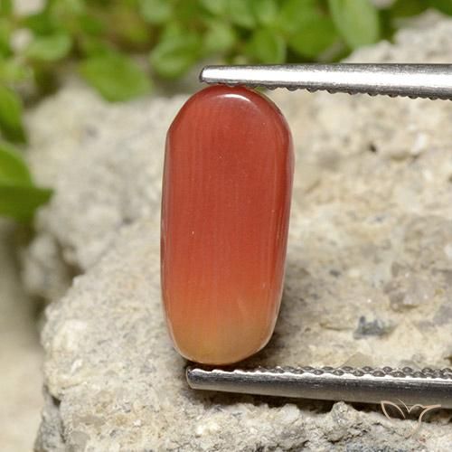 Coral fogo laranja Natural 2.78ct, oval, Opaco