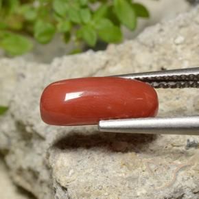 Coral Laranja Médio Natural 2.10ct, oval, Opaco