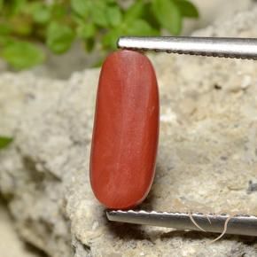Coral Laranja Médio Natural 2.10ct, oval, Opaco