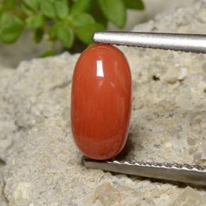 Coral laranja natural 1,40ct, corte oval, opaco