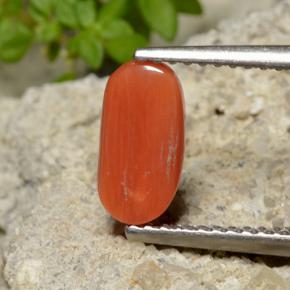 Coral laranja natural 1,40ct, corte oval, opaco