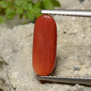 Coral Laranja Vermelho Natural 2.47ct, Corte Oval, Opaco