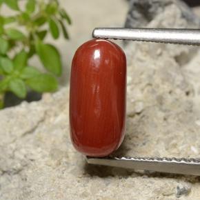 Coral vermelho natural 2,51ct, corte oval, opaco
