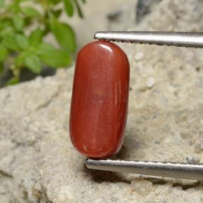 Coral vermelho natural 2,51ct, corte oval, opaco
