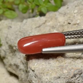 Coral Laranja Vermelho Natural 2.06ct, oval, Opaco
