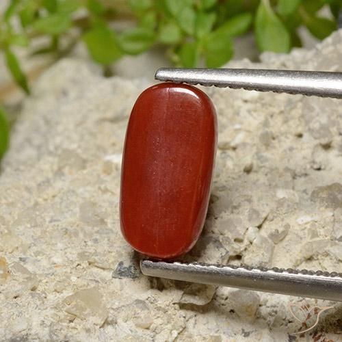 Coral Fogo vermelho Natural 2.06ct, oval, Opaco