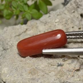 Coral vermelho médio Natural 2.26ct, oval, Opaco