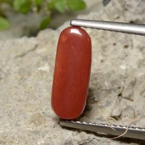 Coral vermelho médio Natural 2.26ct, oval, Opaco