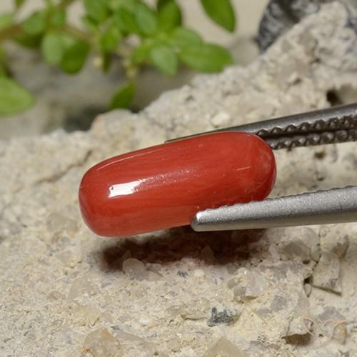 Coral Laranja Vermelho Natural 1.79ct, oval, Opaco