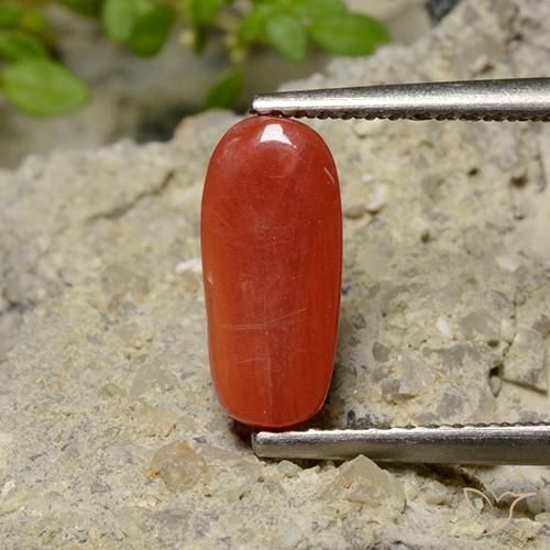 Coral Laranja Vermelho Natural 1.79ct, oval, Opaco