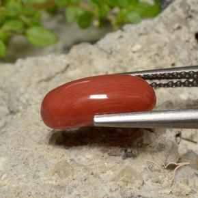 Coral vermelho médio Natural 2.04ct, oval, Opaco