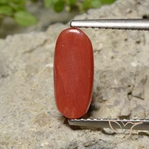 Coral vermelho médio Natural 2.04ct, oval, Opaco