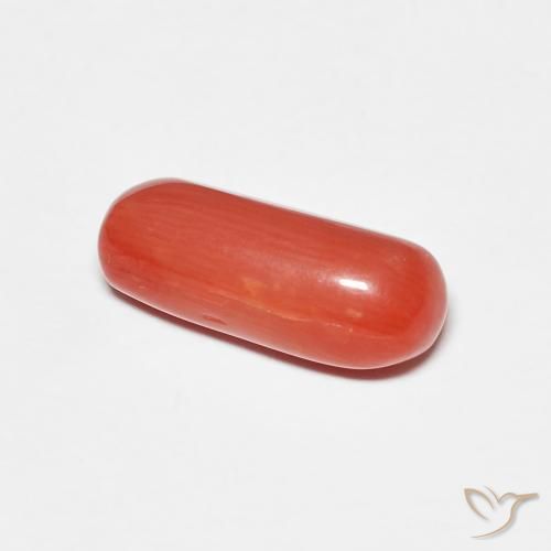 Coral Laranja Vermelho Natural 2.25ct, oval, Opaco