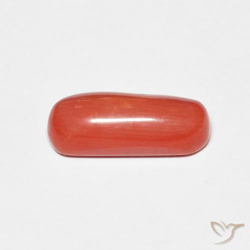 Coral Laranja Vermelho Natural 2.25ct, oval, Opaco
