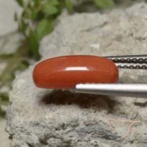 Coral Luz vermelha Natural 2.11ct, oval, Opaco