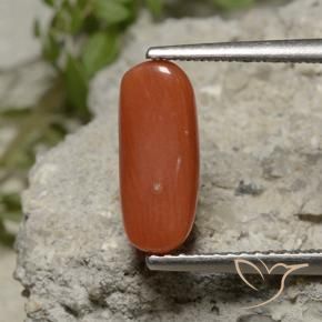 Coral Luz vermelha Natural 2.11ct, oval, Opaco