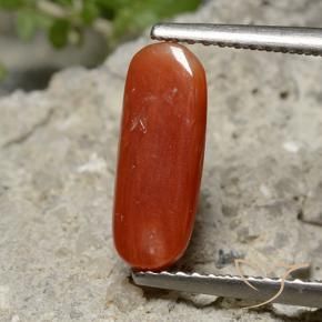 Coral vermelho médio Natural 2.13ct, oval, Opaco