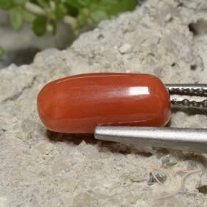 Coral vermelho médio Natural 2.26ct, oval, Opaco