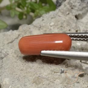 Coral fogo laranja Natural 2.25ct, oval, Opaco