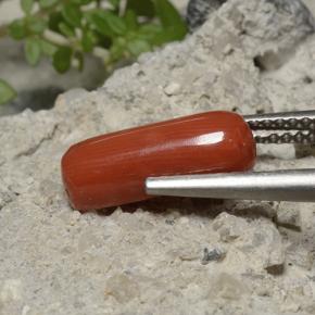 Coral Laranja Vermelho Natural 2.68ct, Corte Oval, Opaco