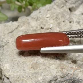 Coral Laranja Vermelho Natural 2.22ct, oval, Opaco