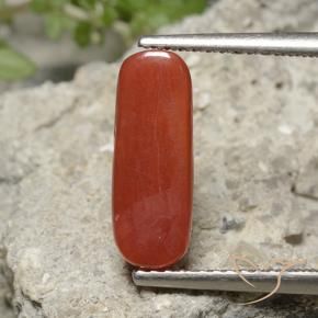 Coral Laranja Vermelho Natural 2.22ct, oval, Opaco