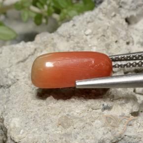 Coral fogo laranja Natural 2.36ct, oval, Opaco